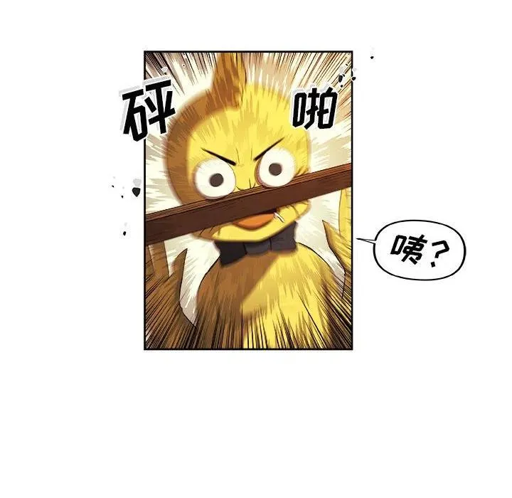 23 第11页
