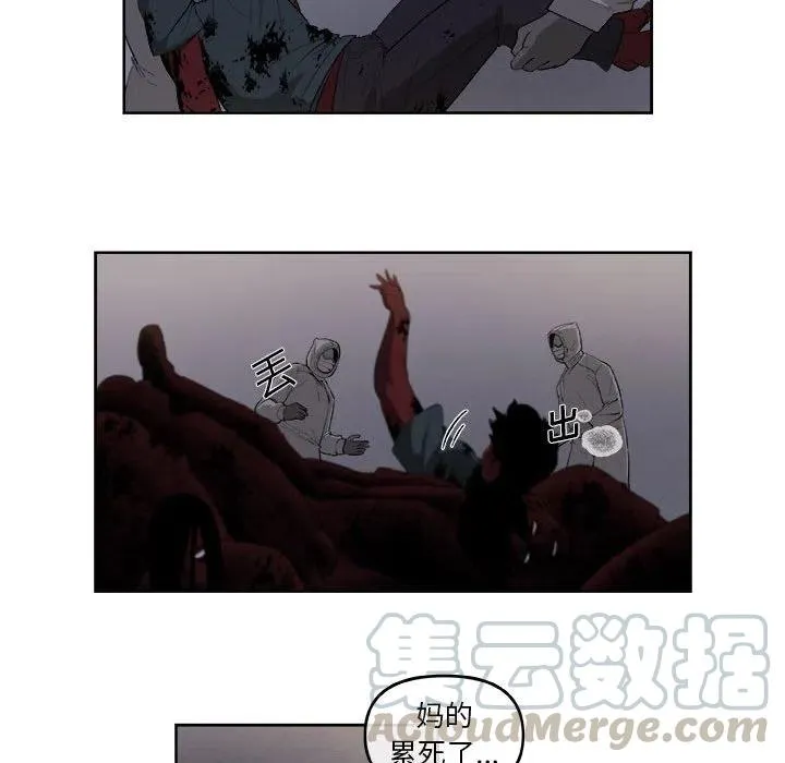 36 第31页