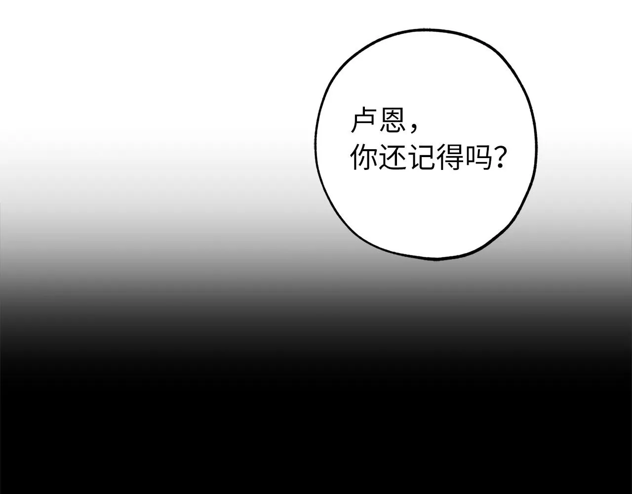完结篇 再见，卢恩 第46页