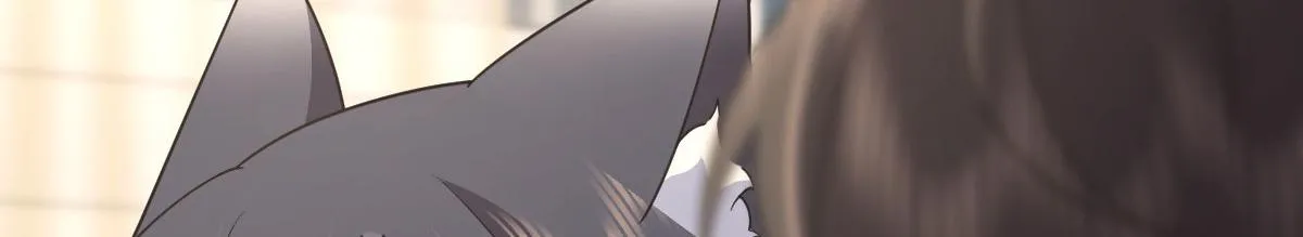 97 第45页