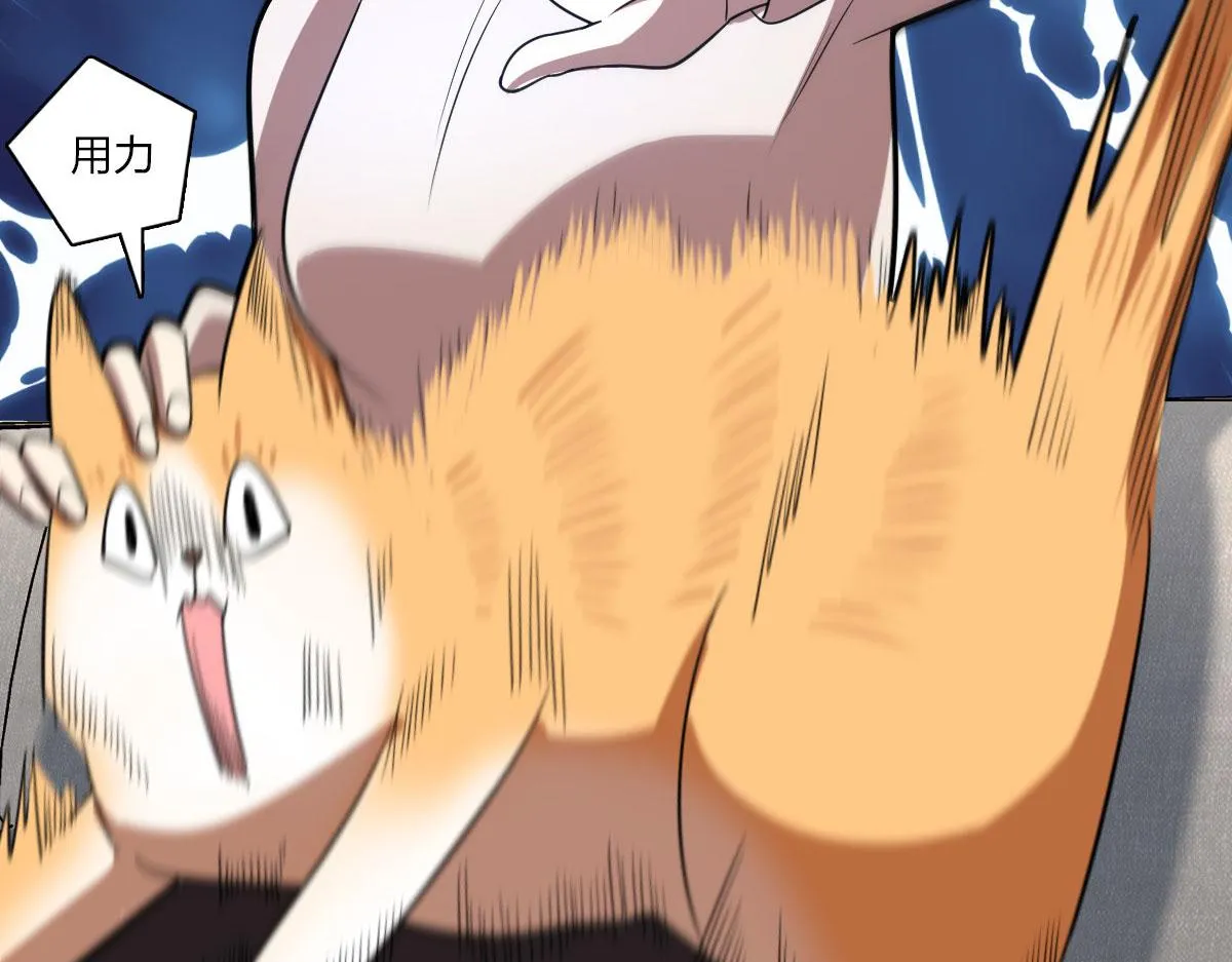 88 第113页