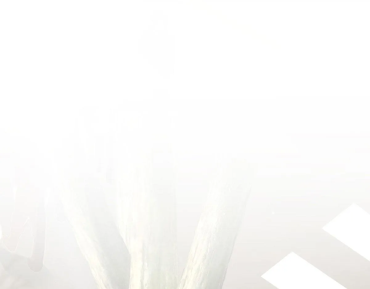 86 第51页