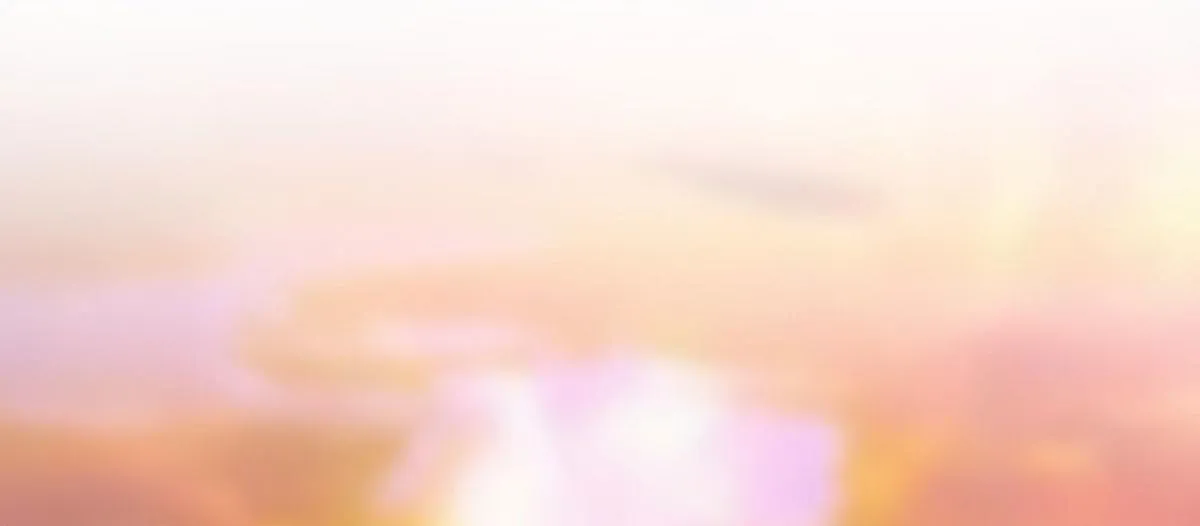 85 第93页
