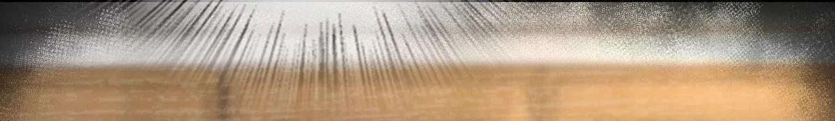 81 第17页