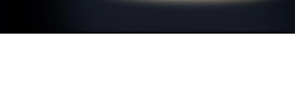 81 第117页