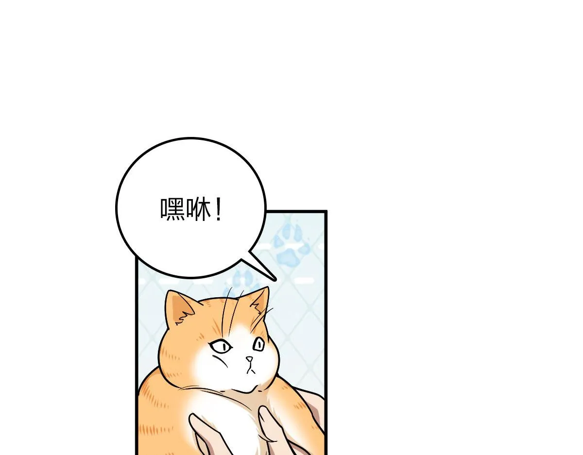 12 第37页