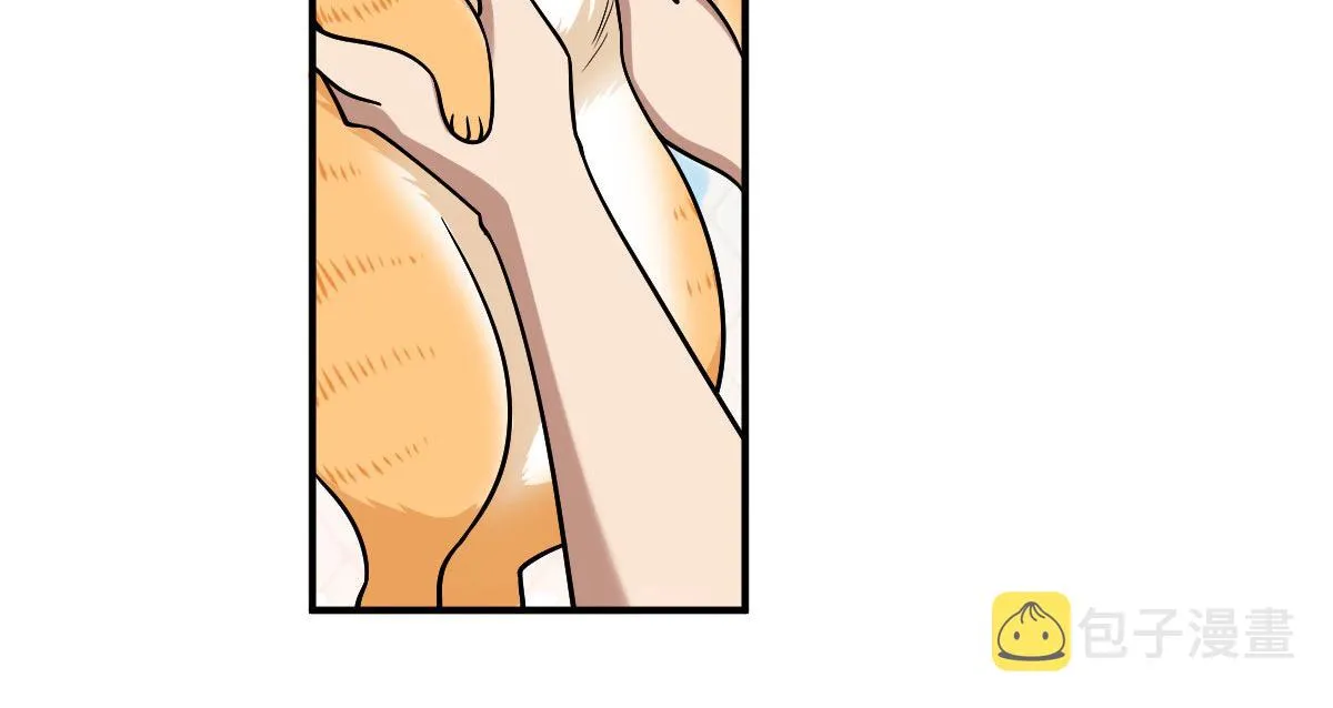 12 第38页