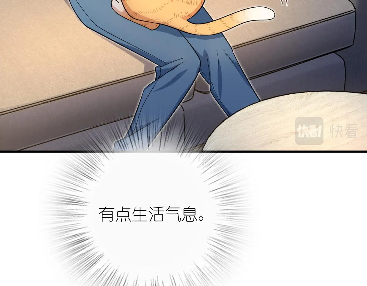 14 第82页