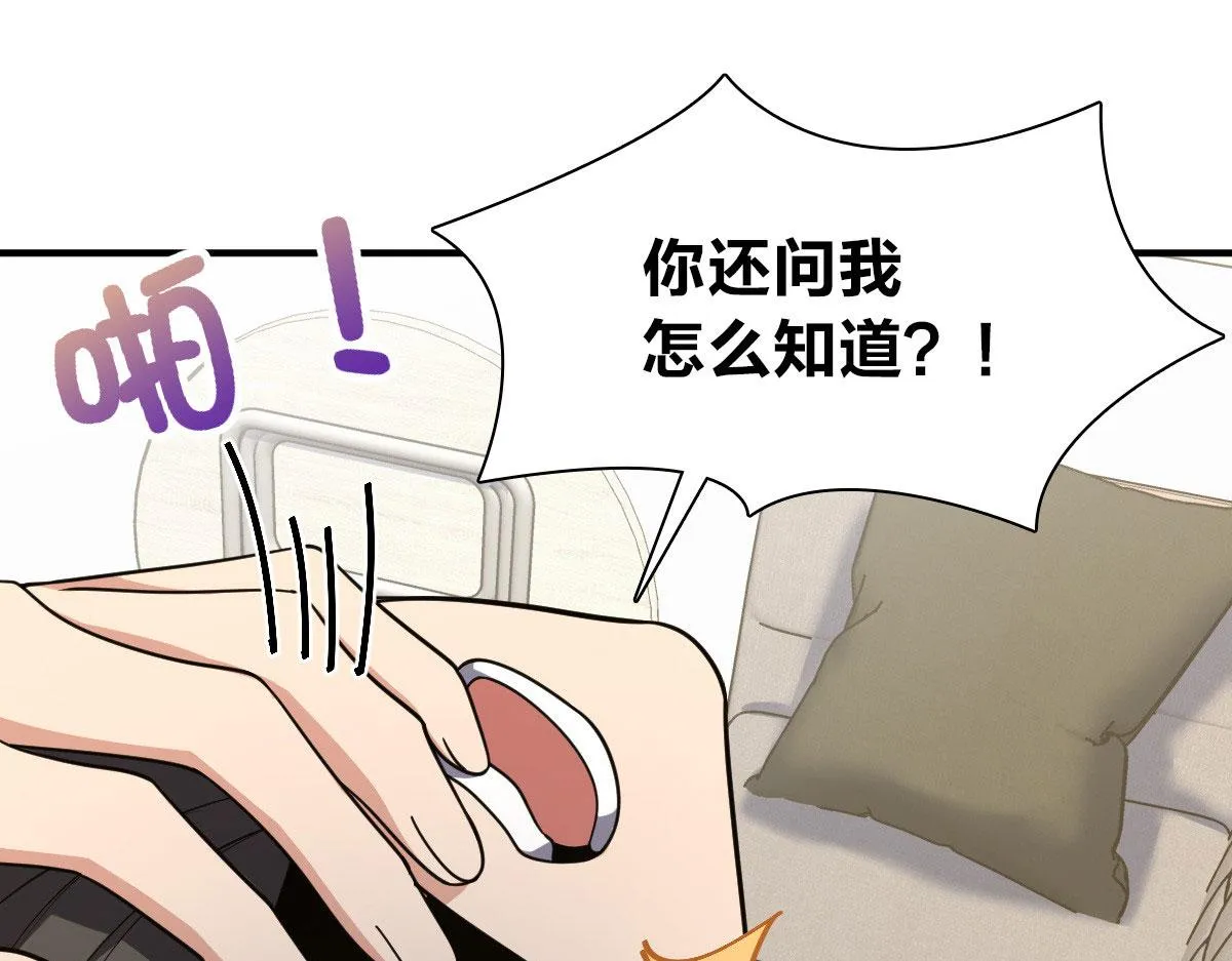 15 第51页