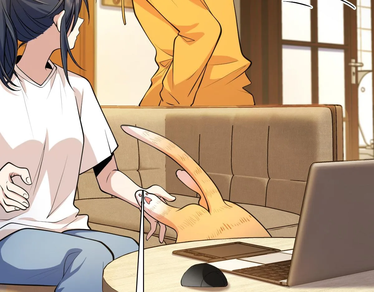 17 第28页