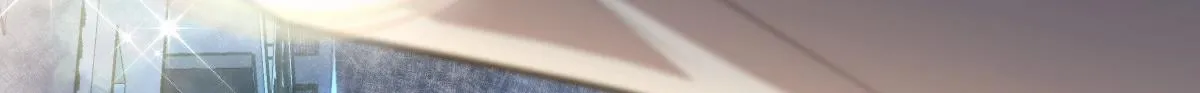 17 第119页