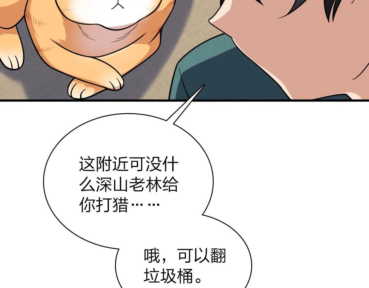 19 第31页