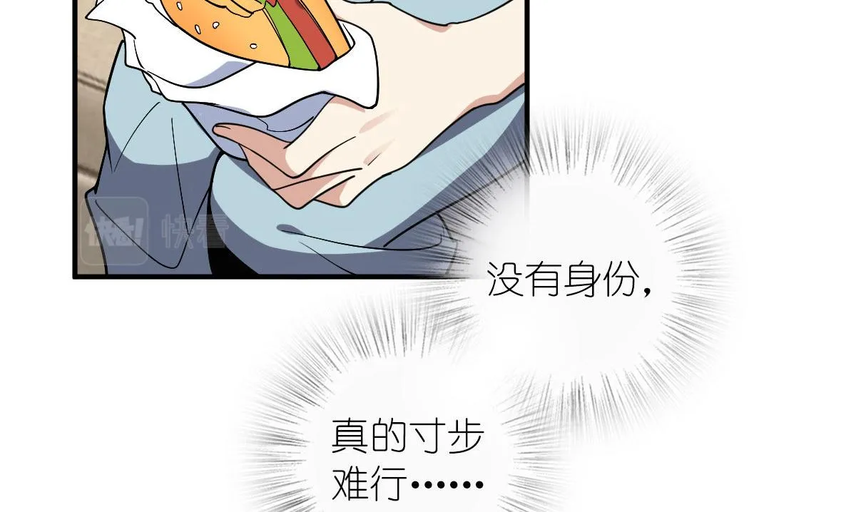 19 第36页