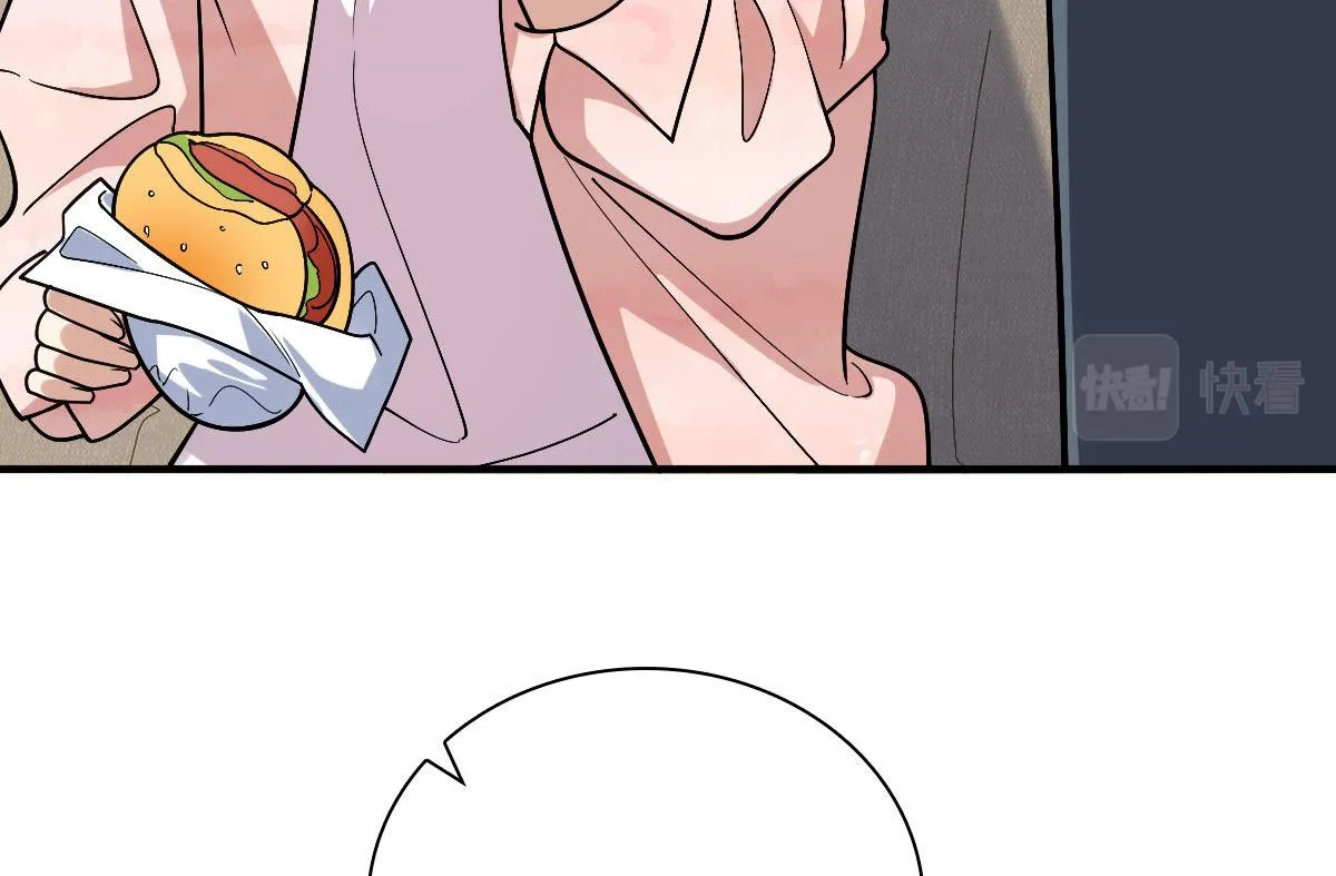 19 第48页