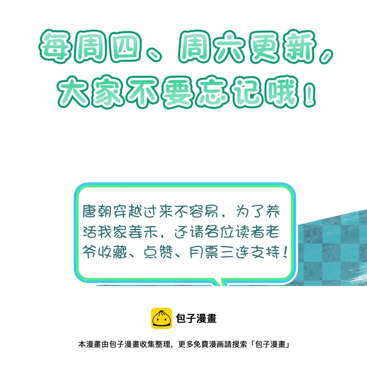 20 第161页