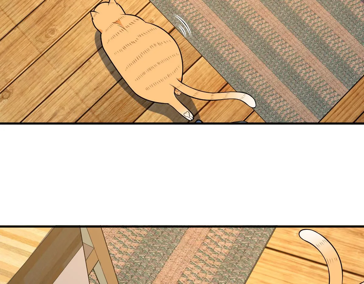 21 第160页