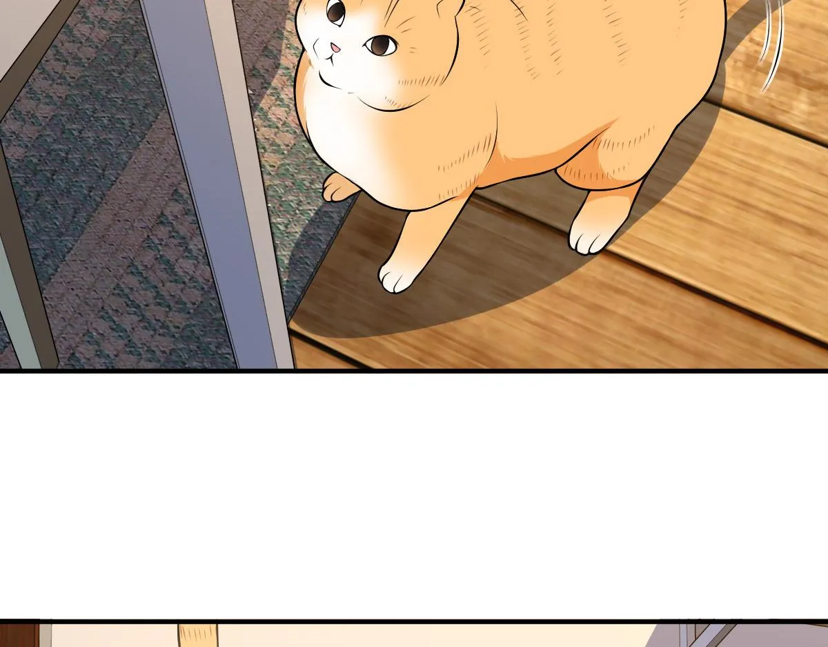 21 第162页