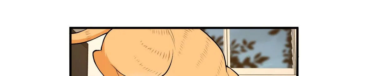 21 第164页