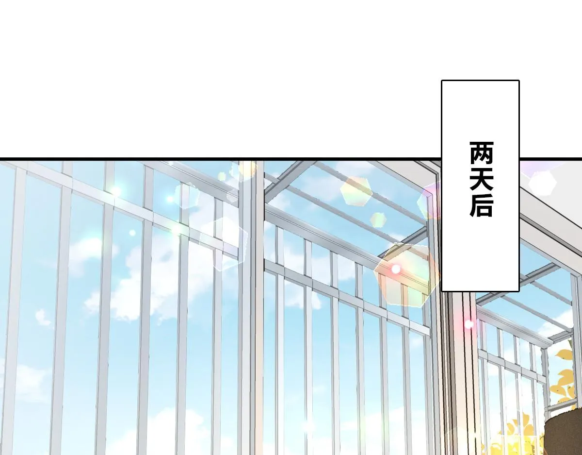 25 第3页