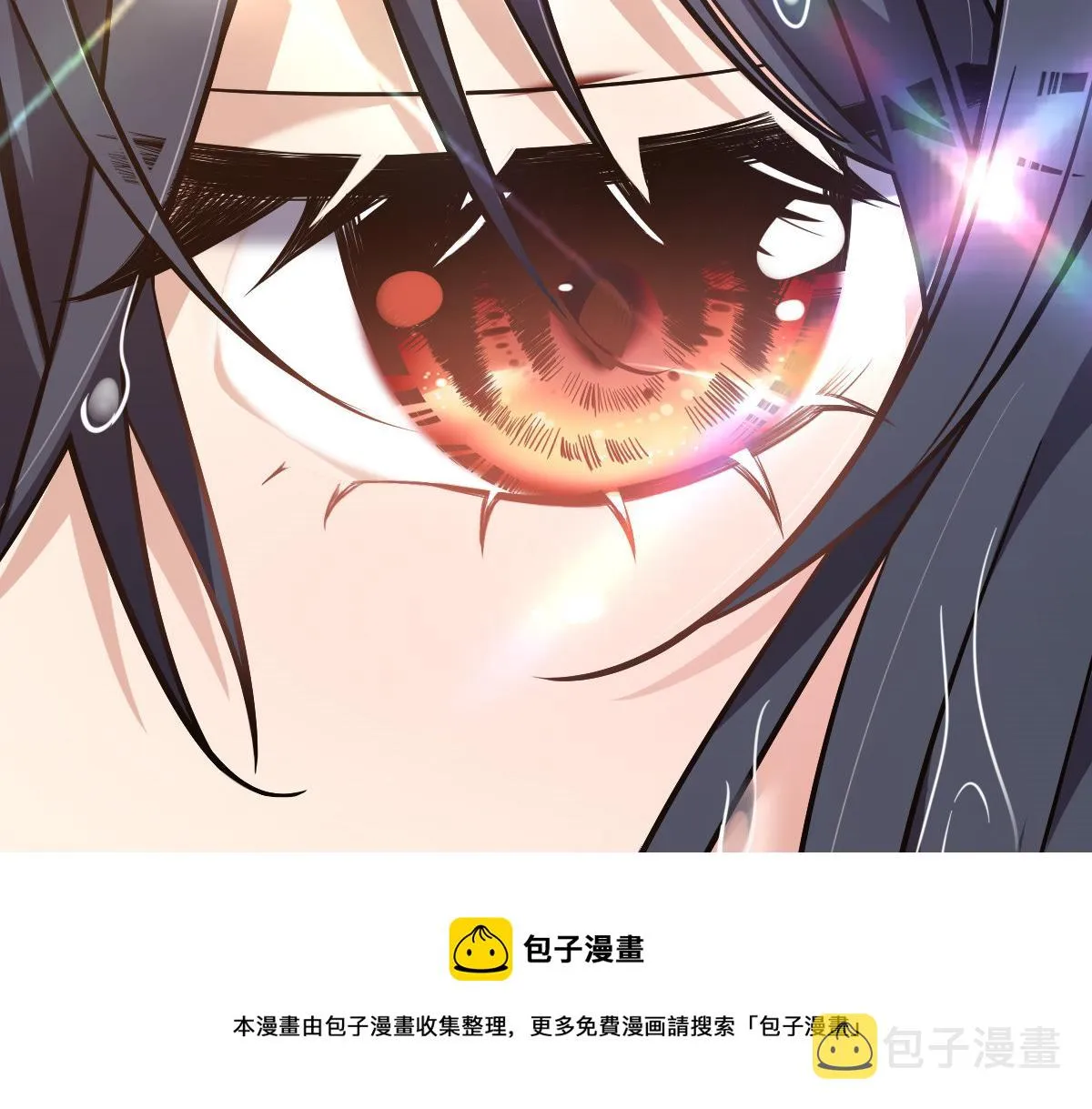 26 第113页