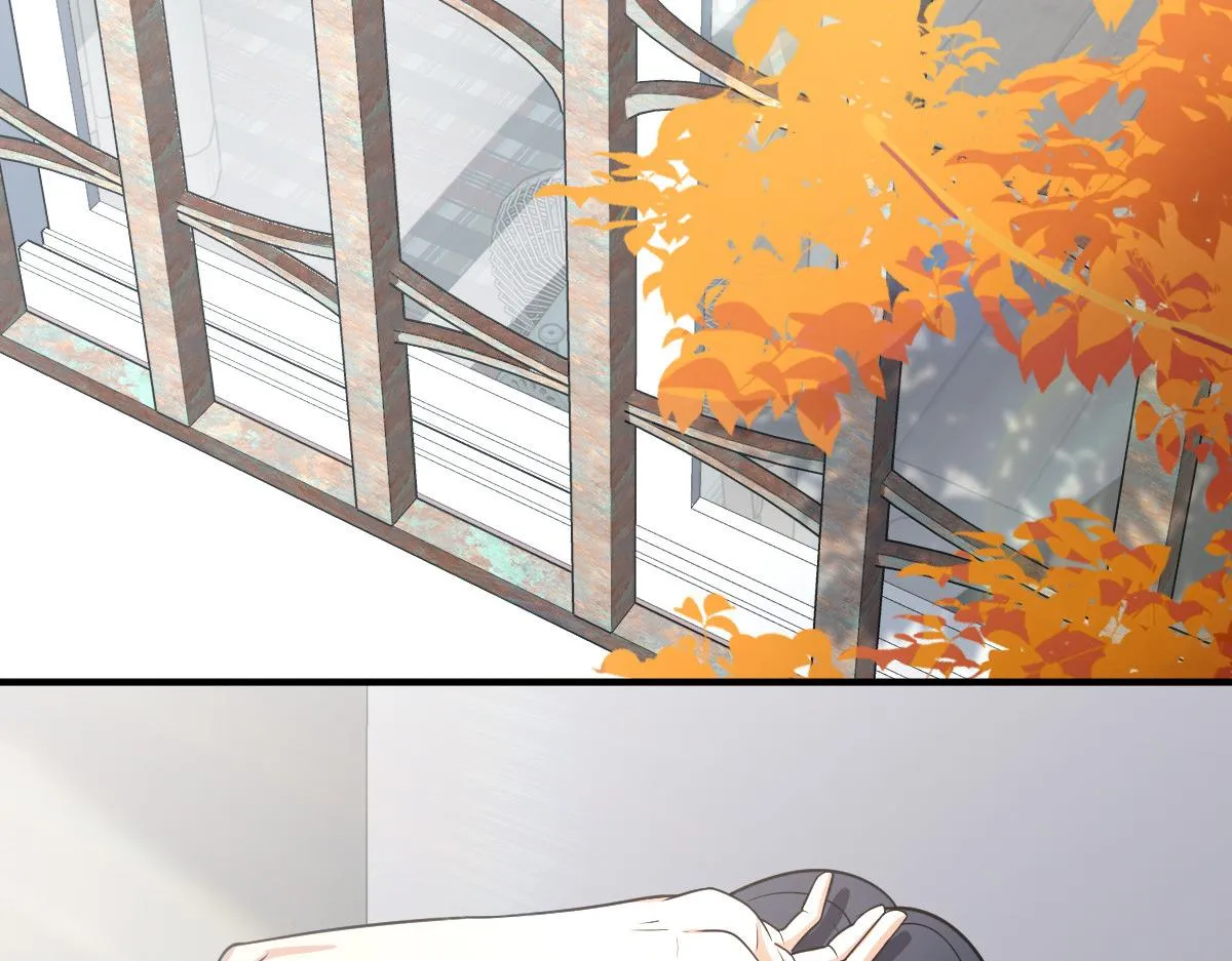 28 第4页