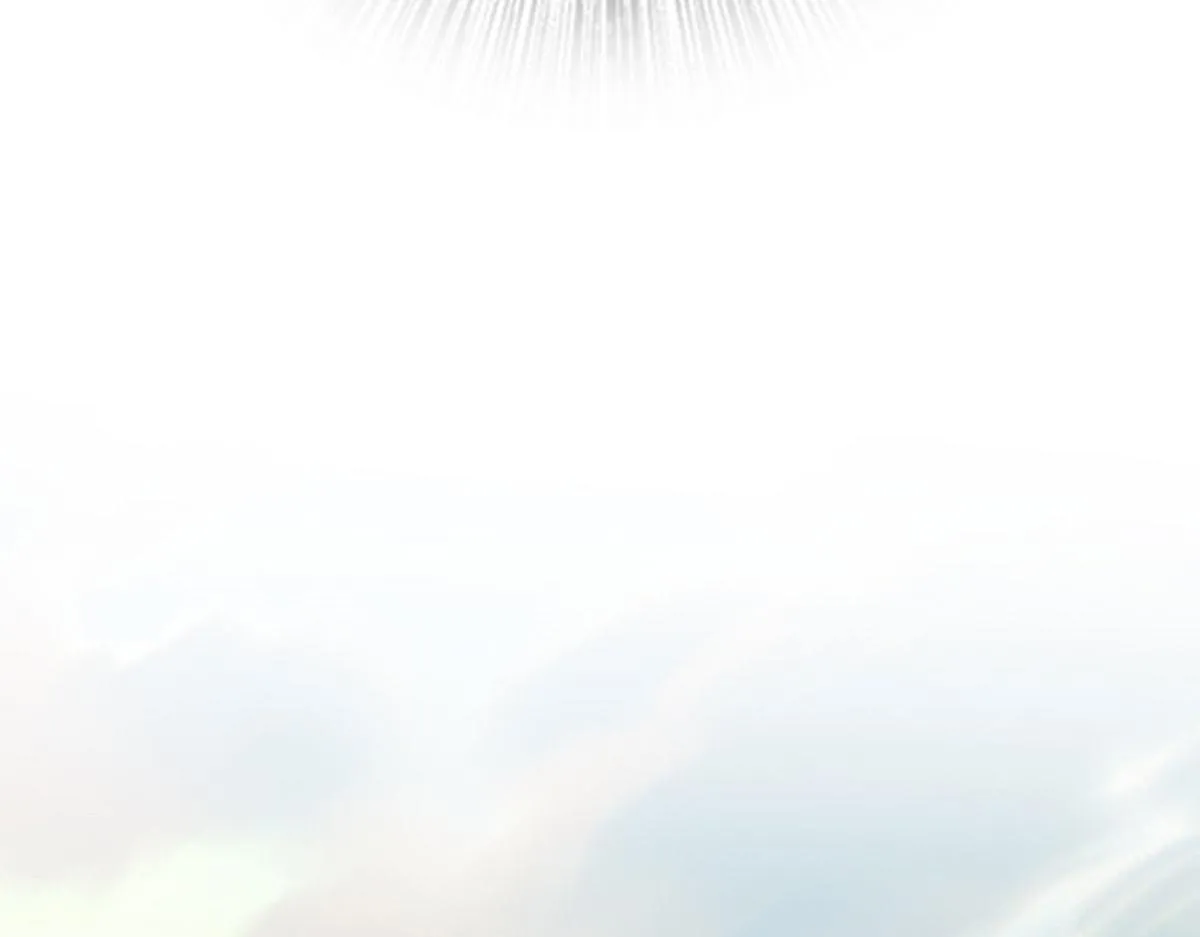 38 第118页