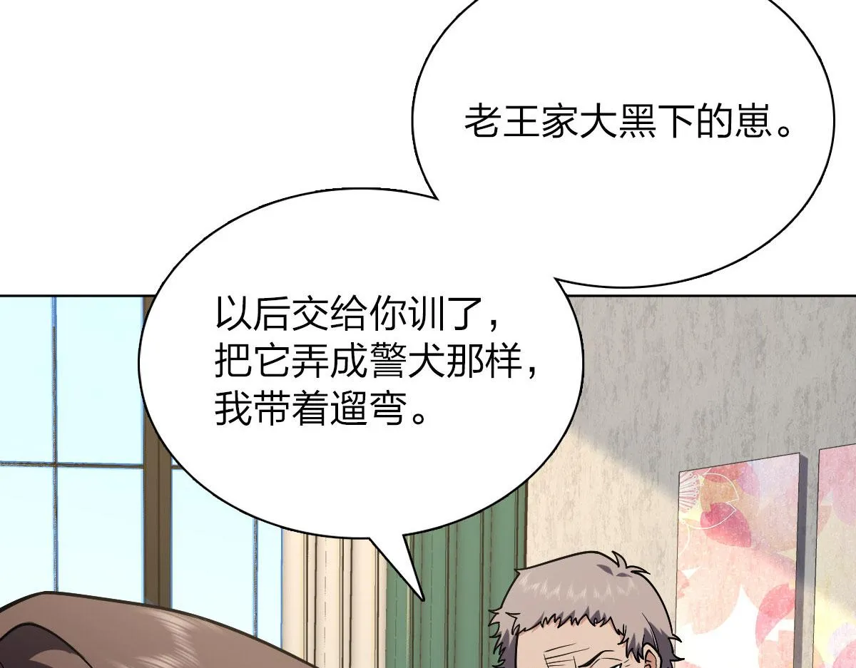 38 第135页
