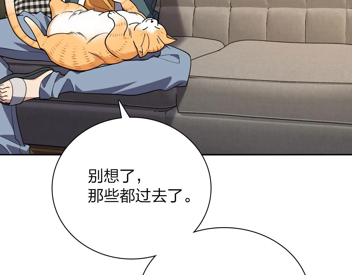 41 第49页