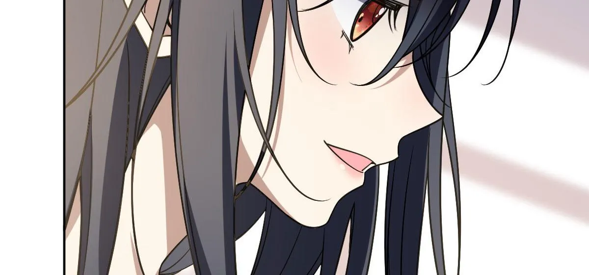 41 第68页