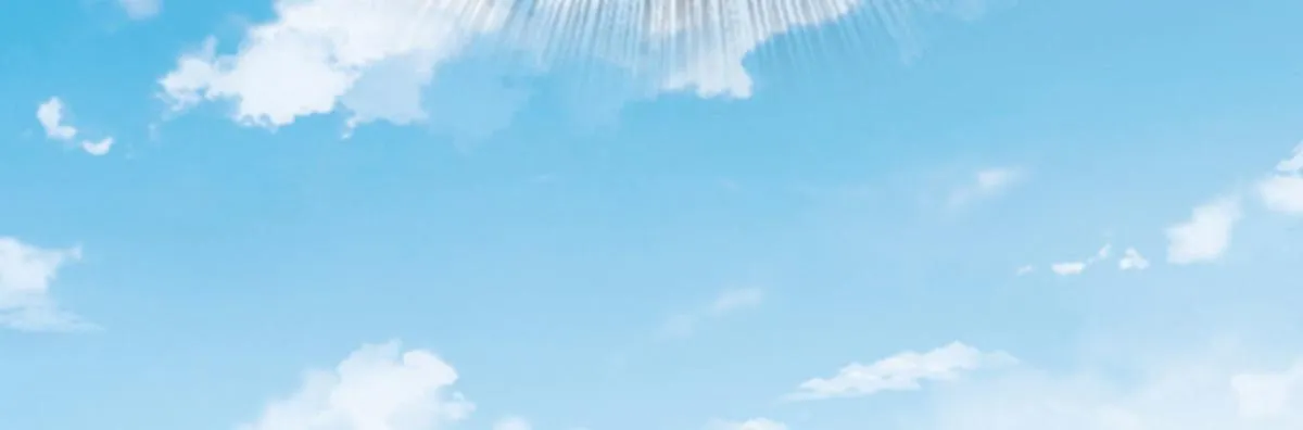 41 第86页