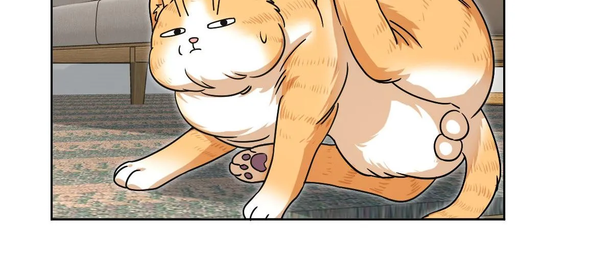 44 第153页