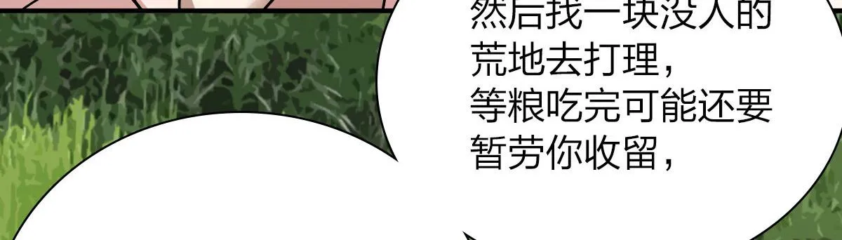 43 第80页