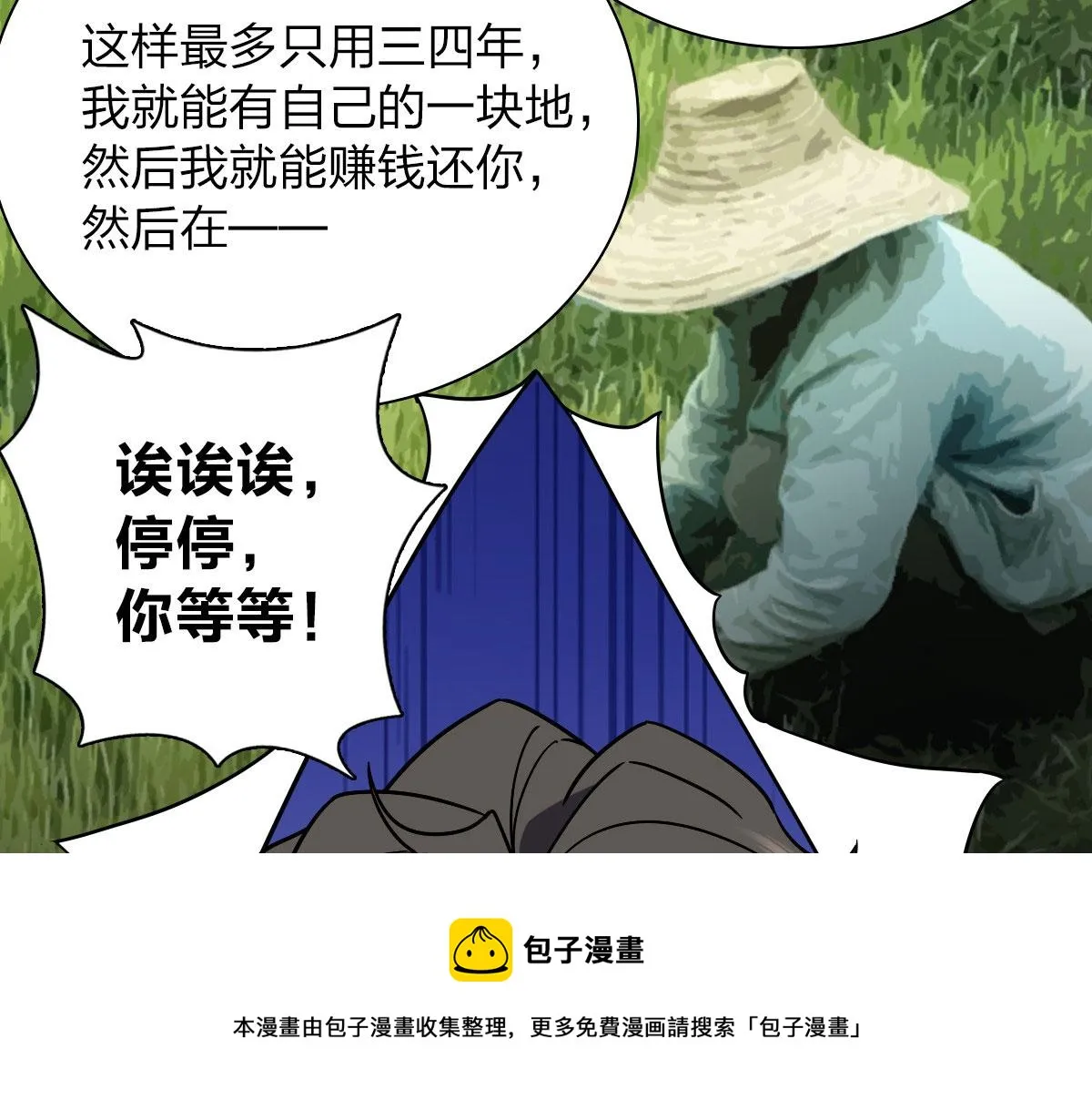 43 第81页
