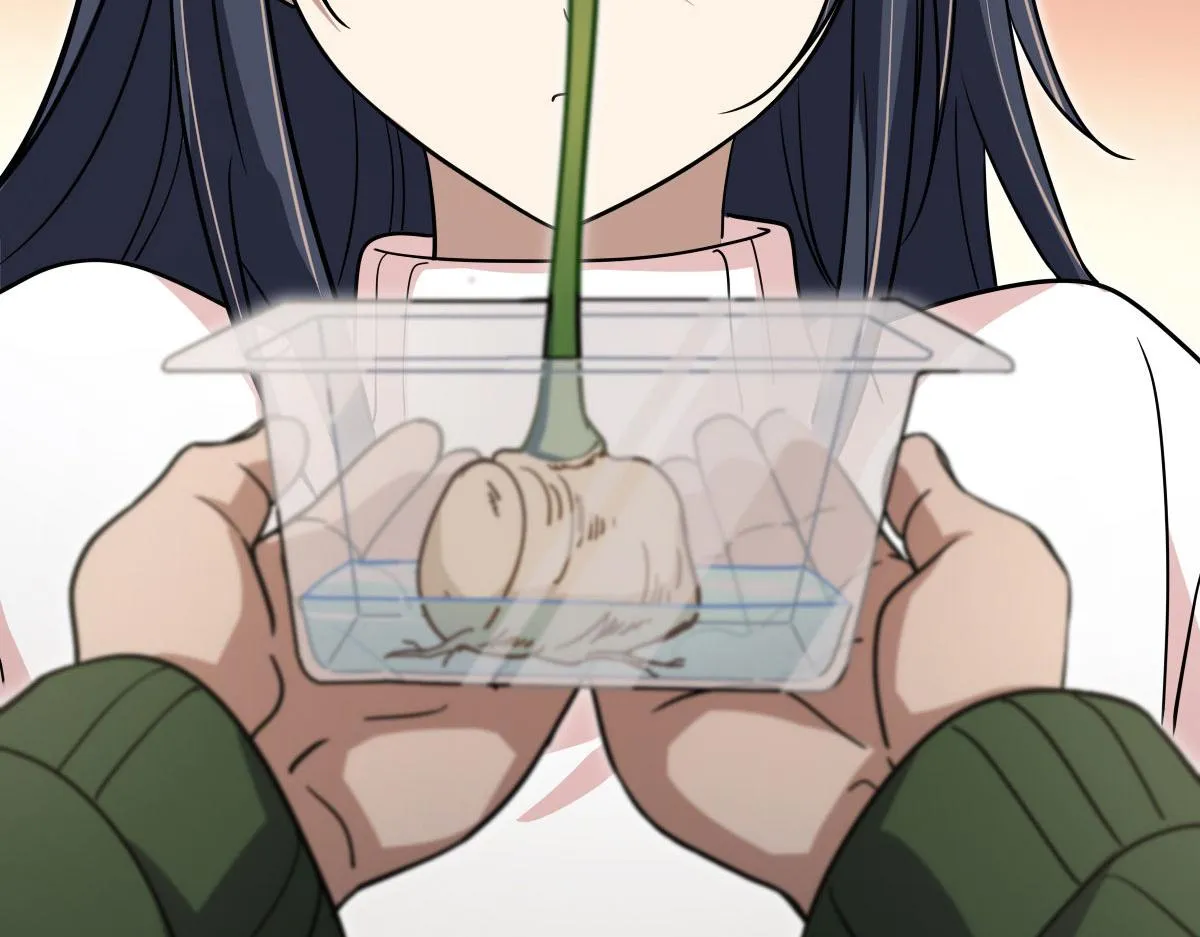 46 第13页