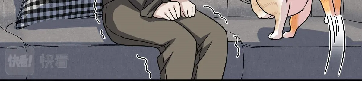 50 第62页