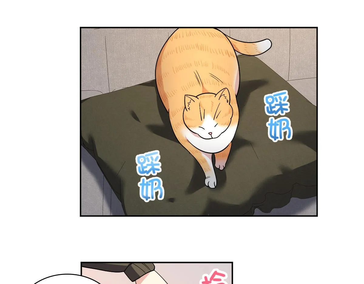 50 第63页