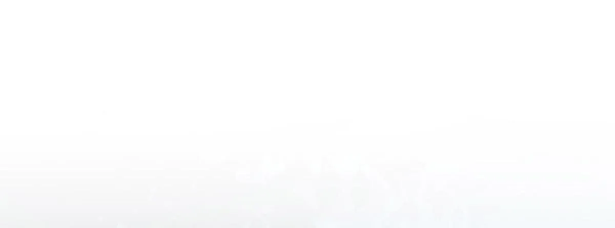 54 第99页