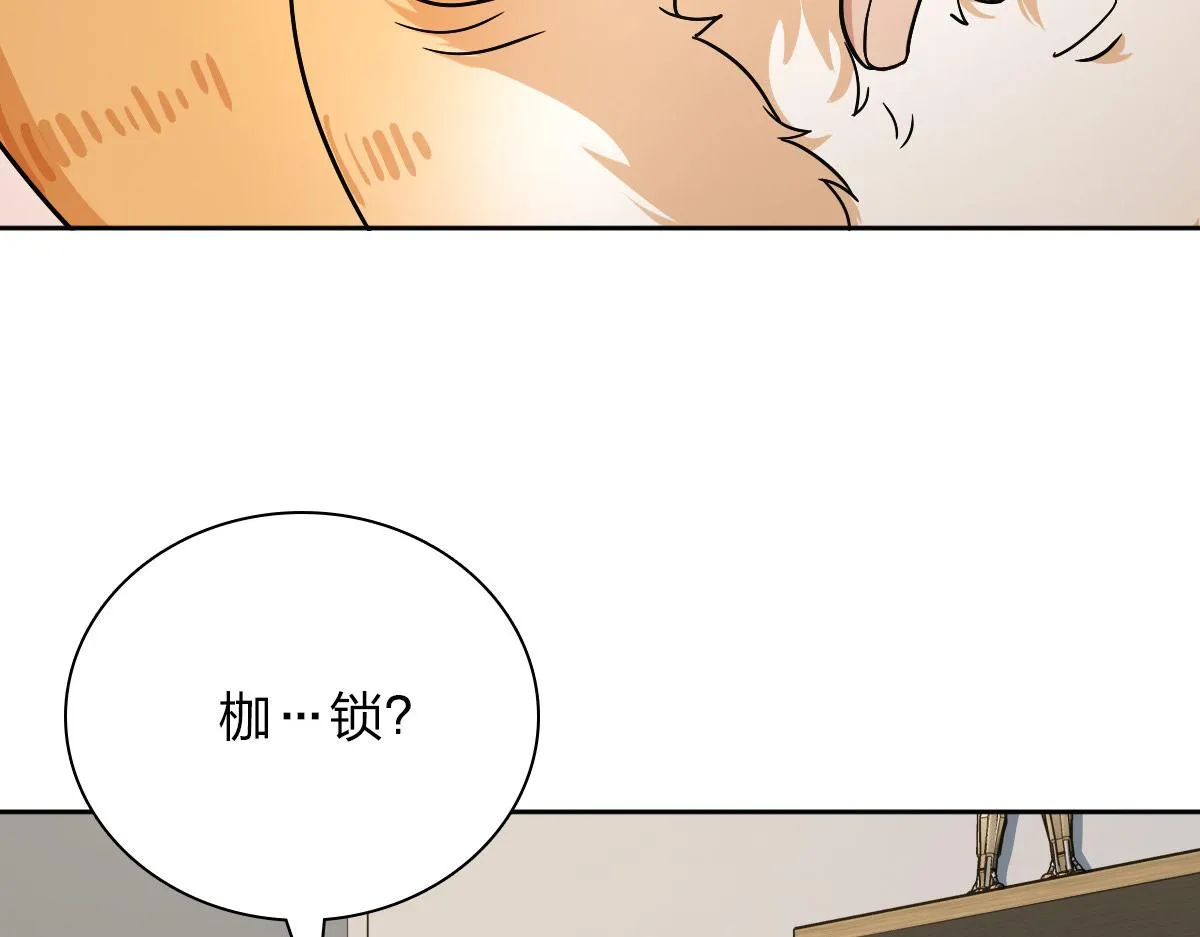 54 第128页