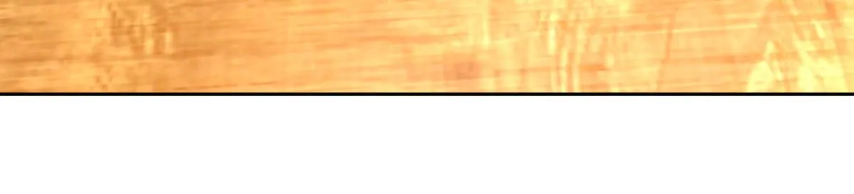 59 第35页