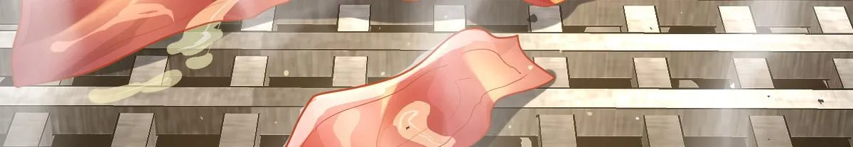 61 第41页
