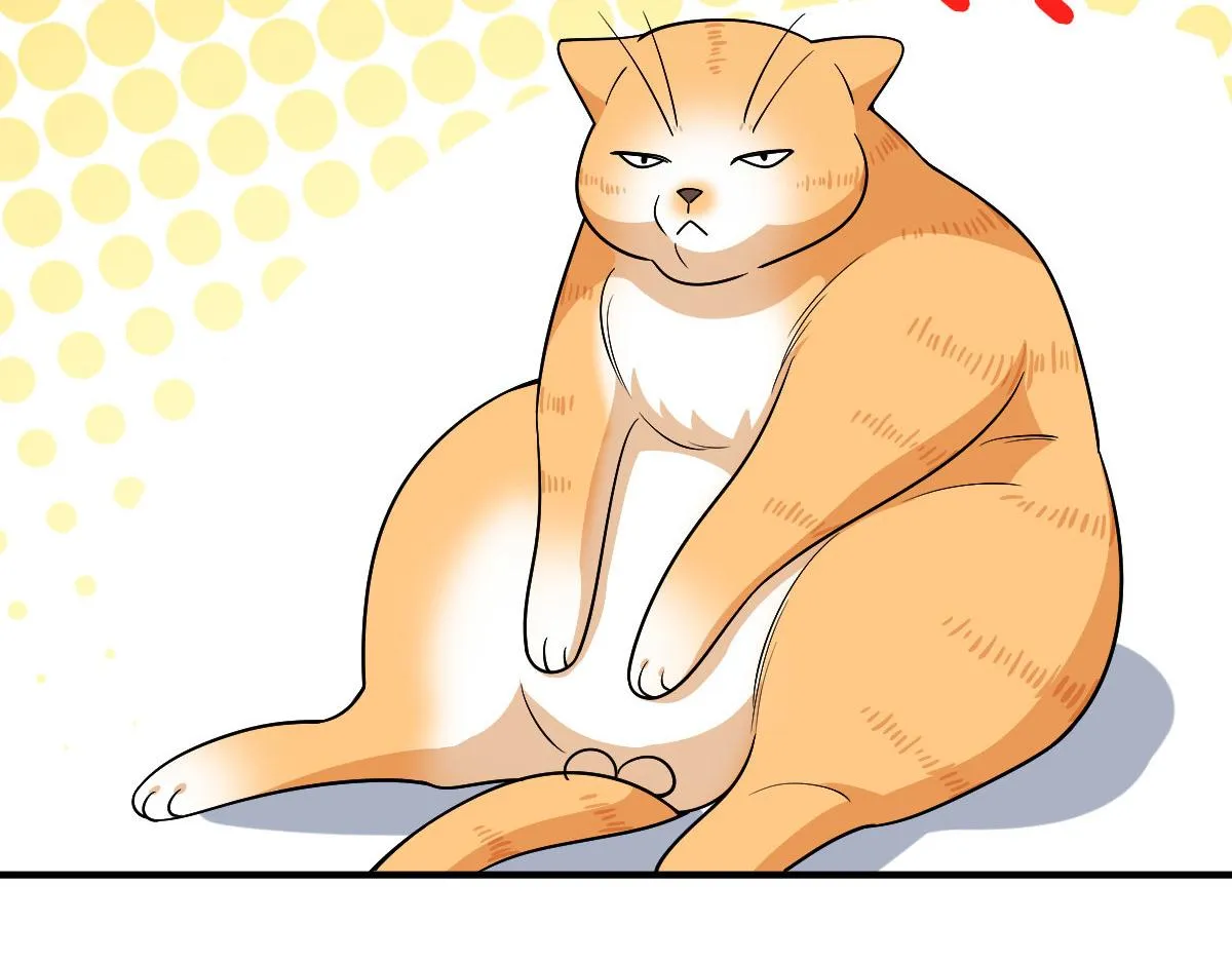 61 第109页