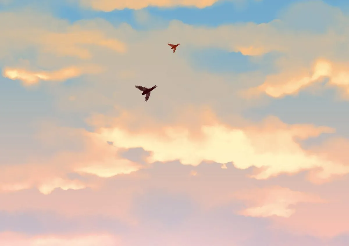 62 第119页