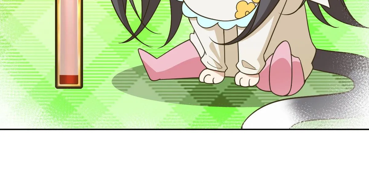 63 第17页
