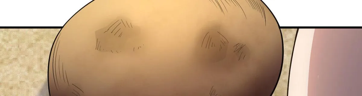 65 第95页