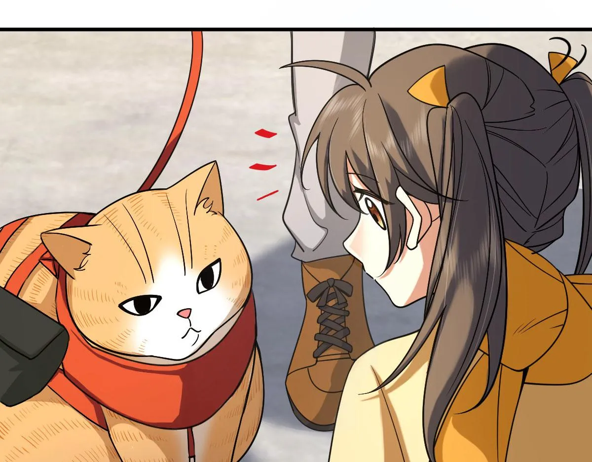 72 第66页