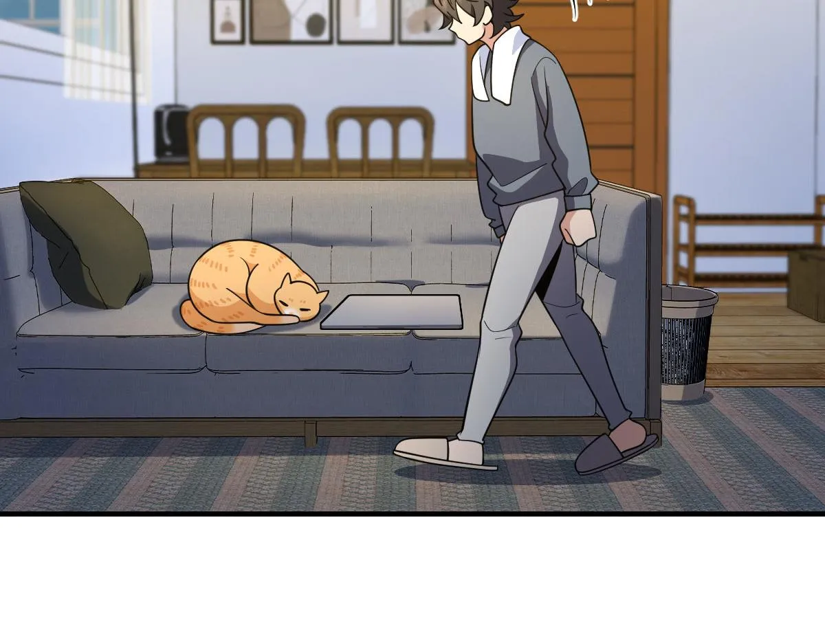71 第33页