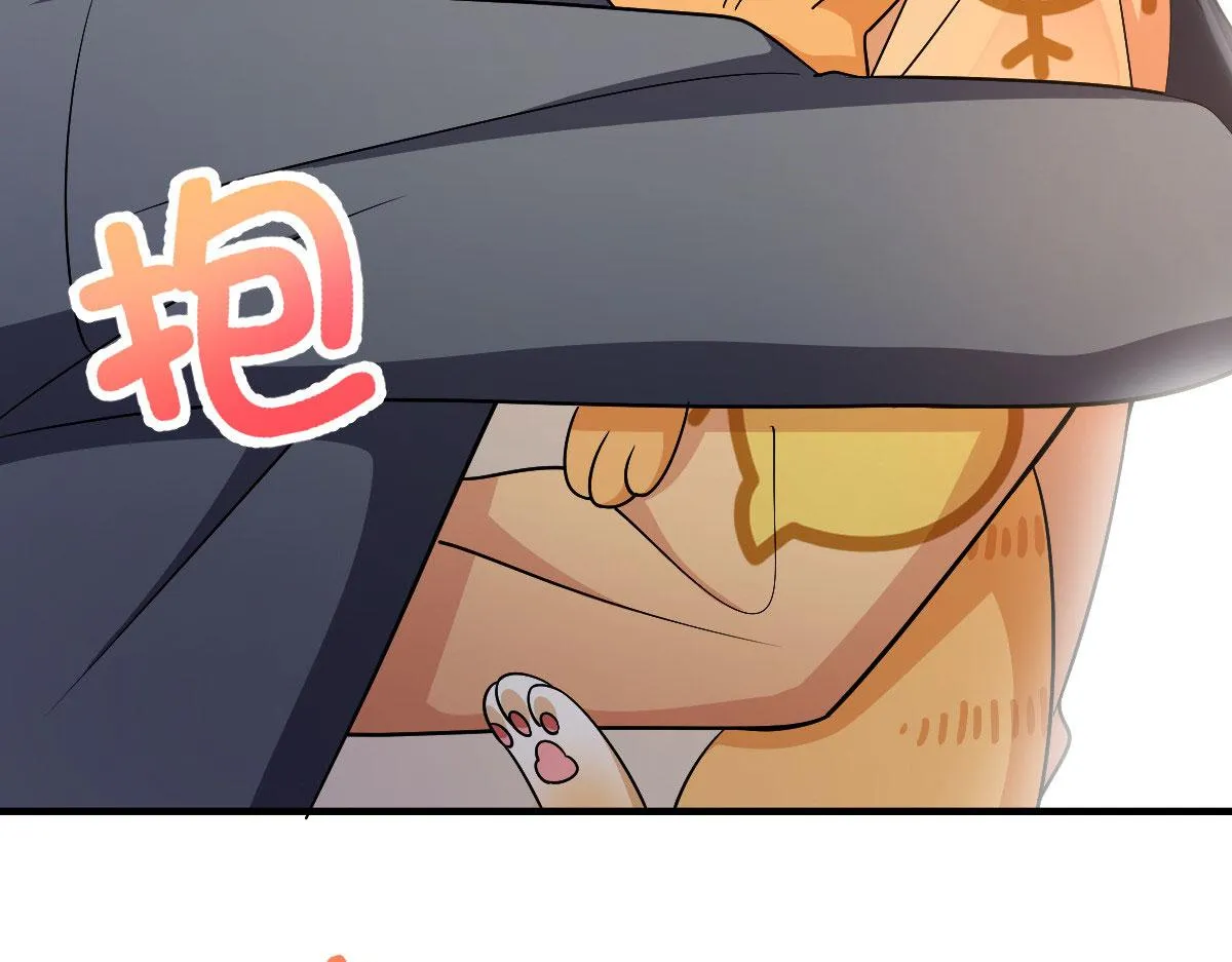 71 第79页