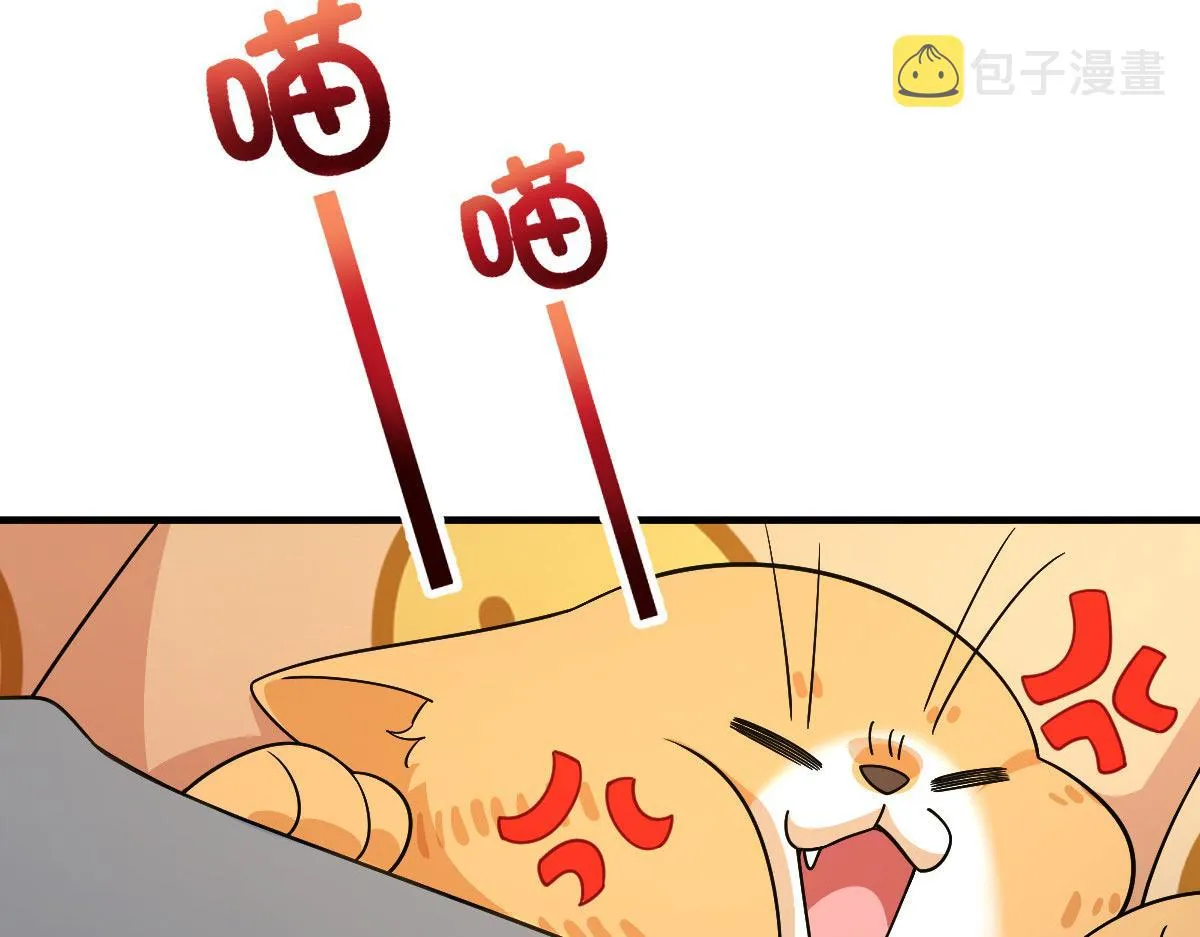 71 第80页