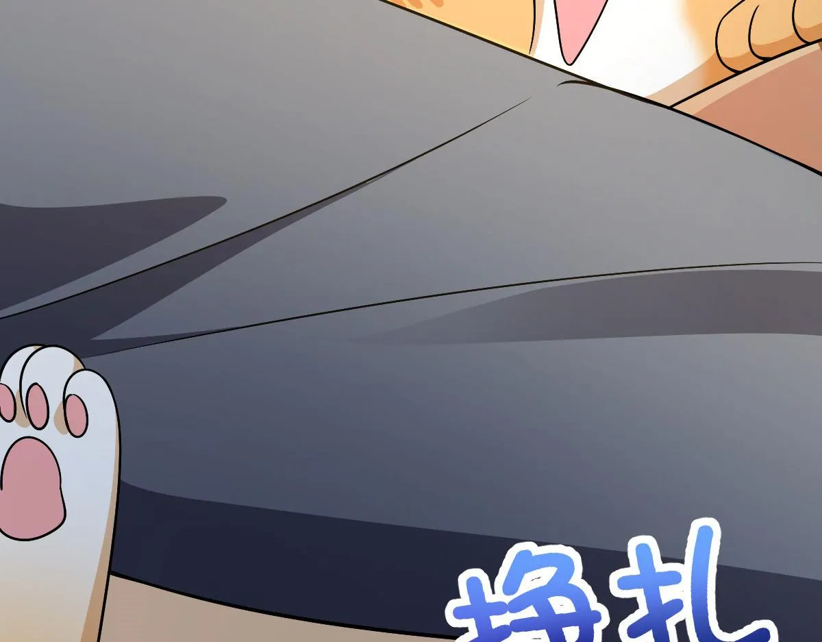 71 第81页