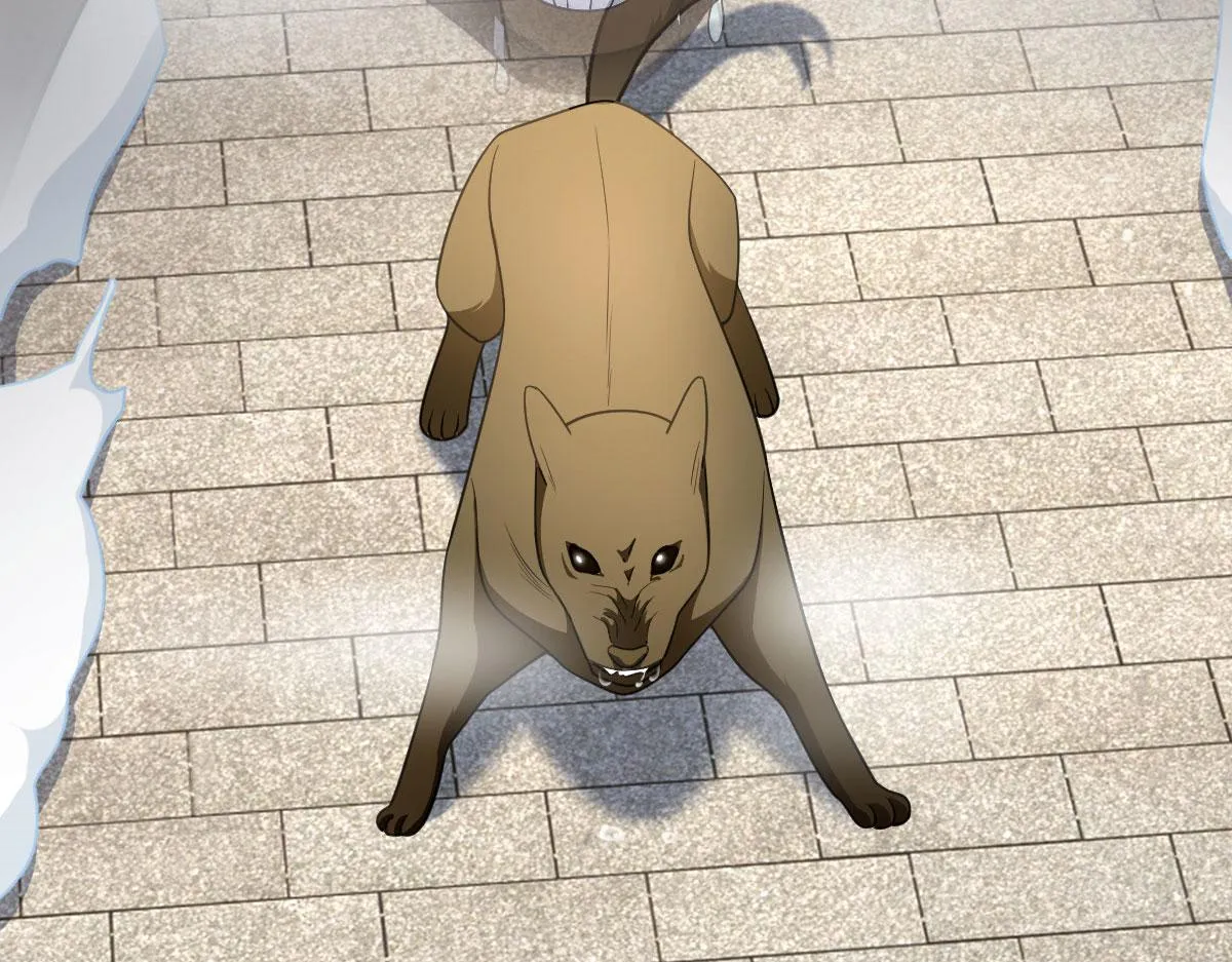 74 第81页